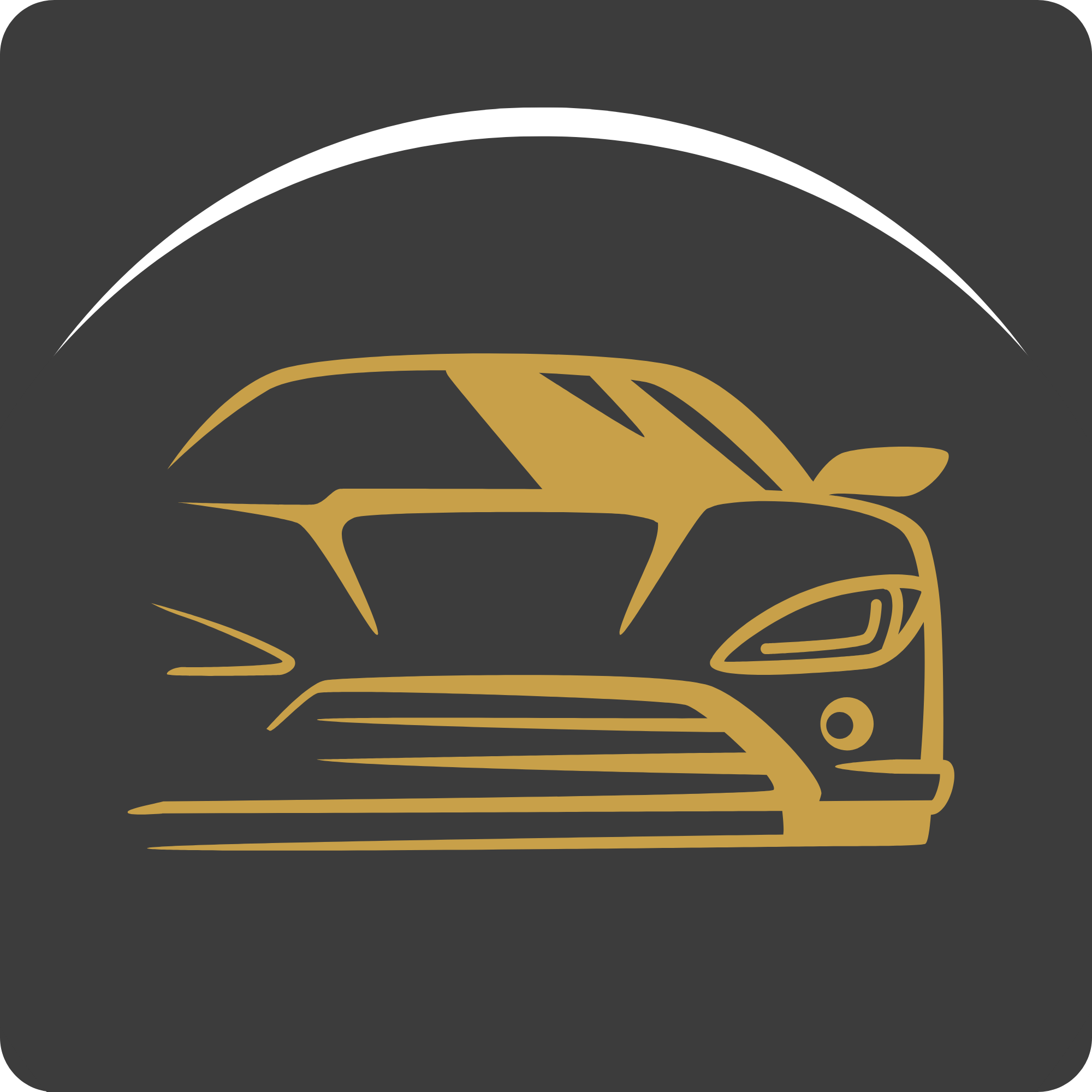LionMotor Logo